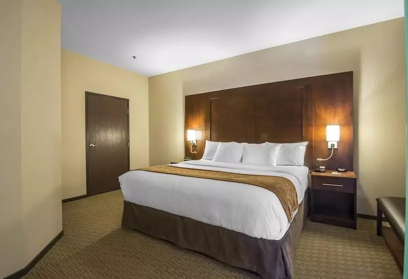 ホテル Comfort Suites