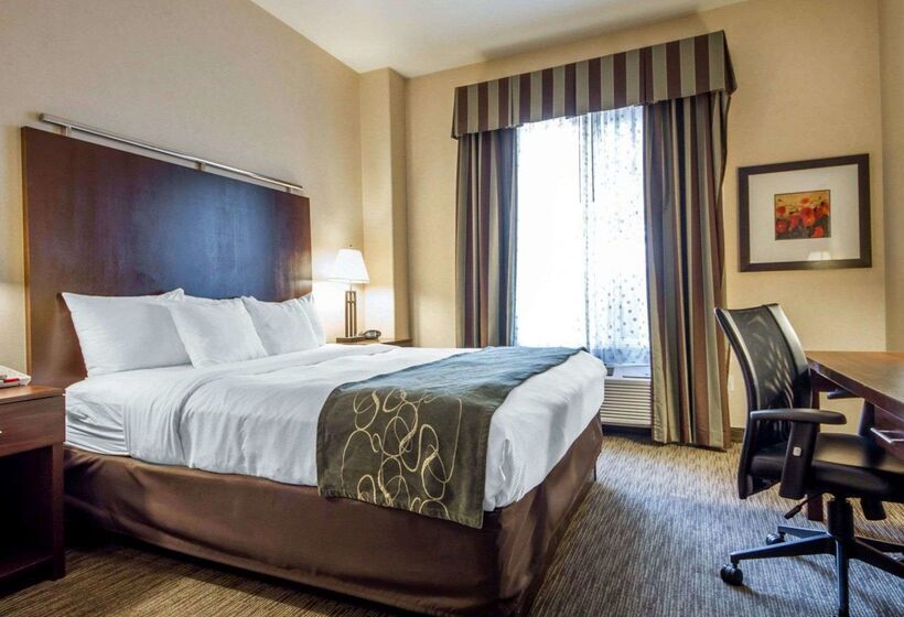 Otel Springhill Suites By Marriott Turlock