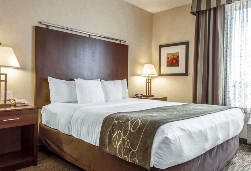 Otel Springhill Suites By Marriott Turlock