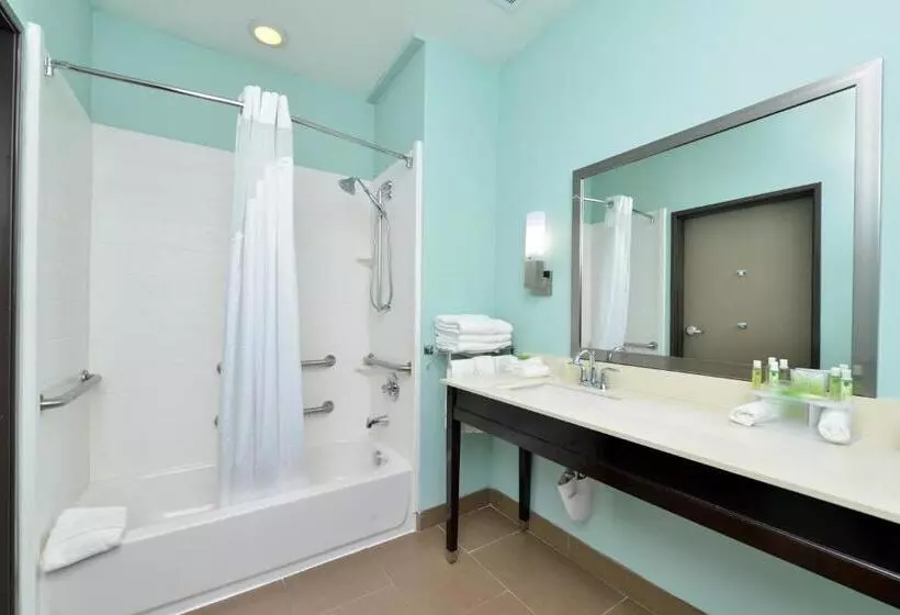 ホテル Holiday Inn Express & Suites Austin South, An Ihg