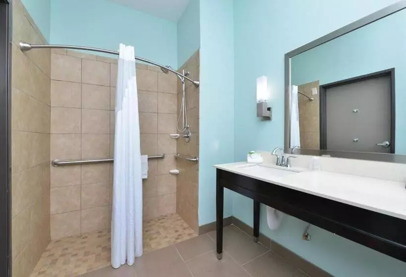 ホテル Holiday Inn Express & Suites Austin South, An Ihg