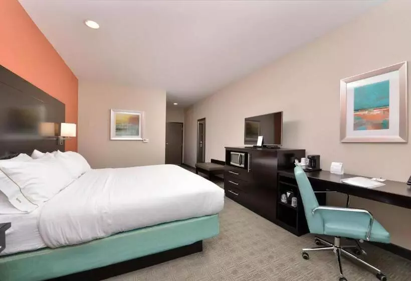 ホテル Holiday Inn Express & Suites Austin South, An Ihg