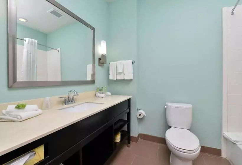 ホテル Holiday Inn Express & Suites Austin South, An Ihg