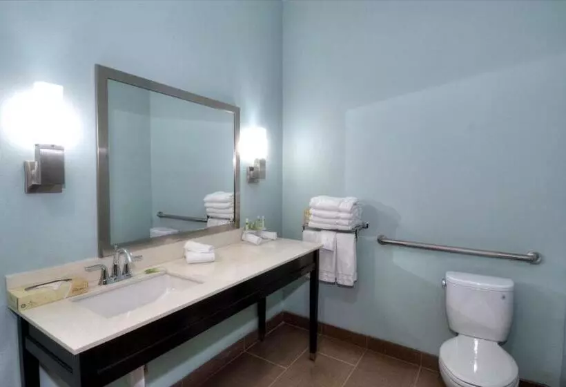 ホテル Holiday Inn Express & Suites Austin South, An Ihg
