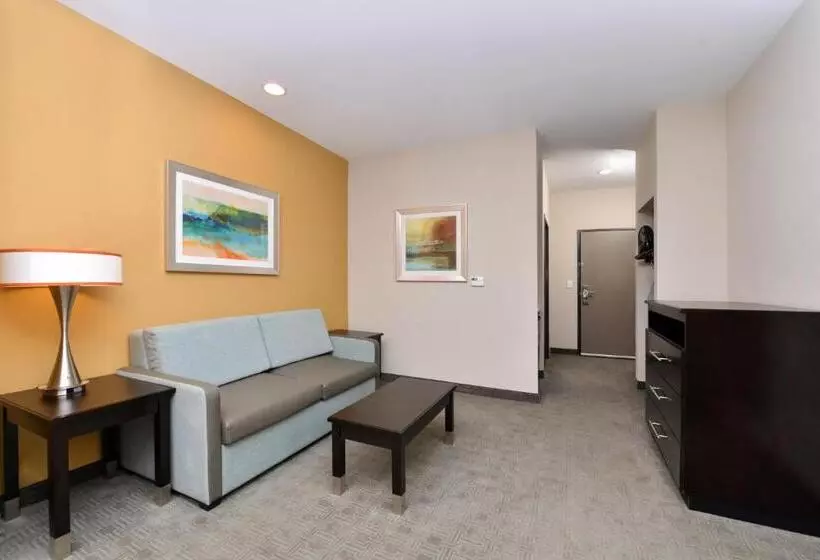 ホテル Holiday Inn Express & Suites Austin South, An Ihg
