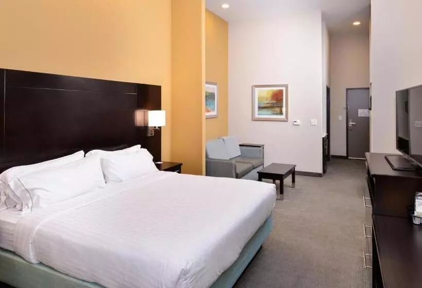 ホテル Holiday Inn Express & Suites Austin South, An Ihg