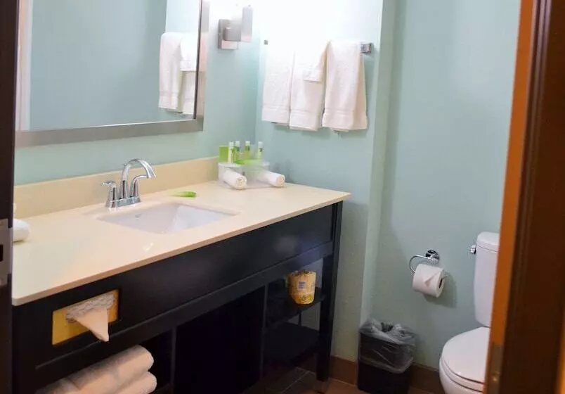 ホテル Holiday Inn Express & Suites Austin South, An Ihg