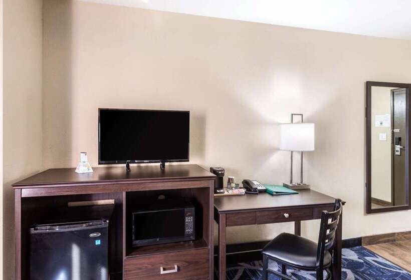 فندق Quality Inn Downtown