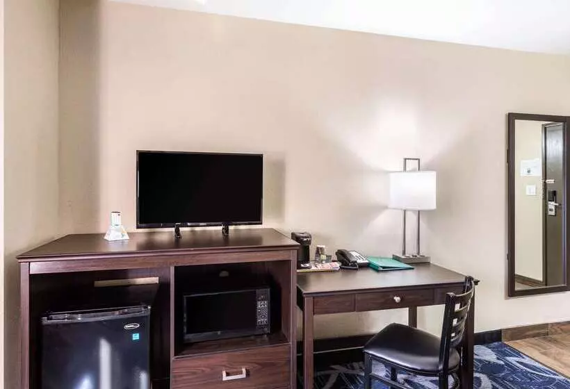 ホテル Quality Inn Downtown