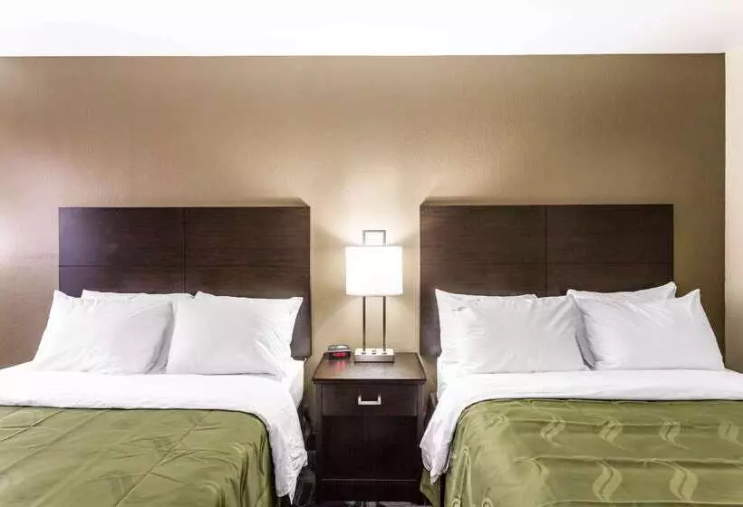 ホテル Quality Inn Downtown