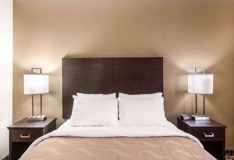 فندق Quality Inn Downtown