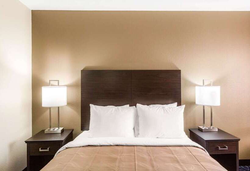 فندق Quality Inn Downtown