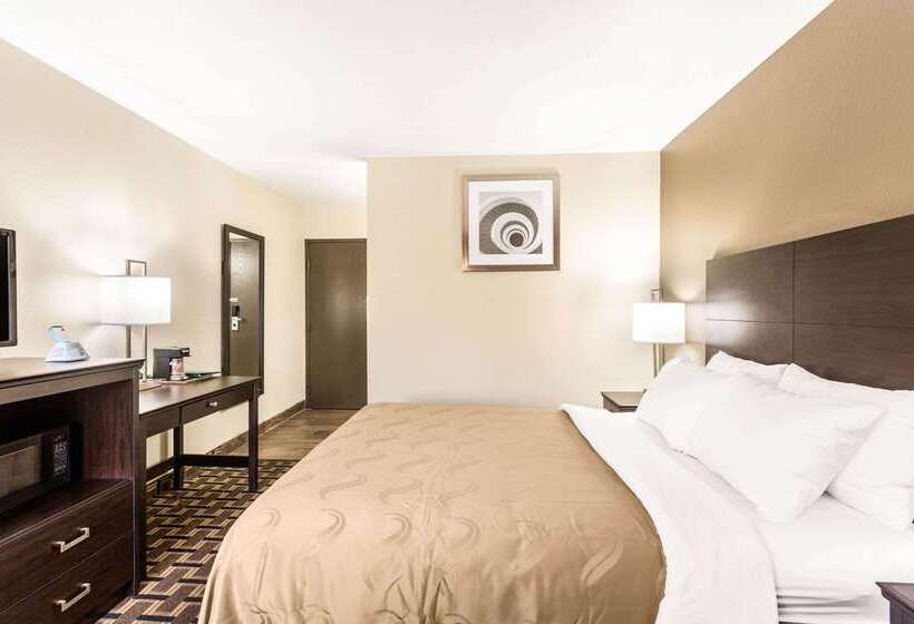 فندق Quality Inn Downtown