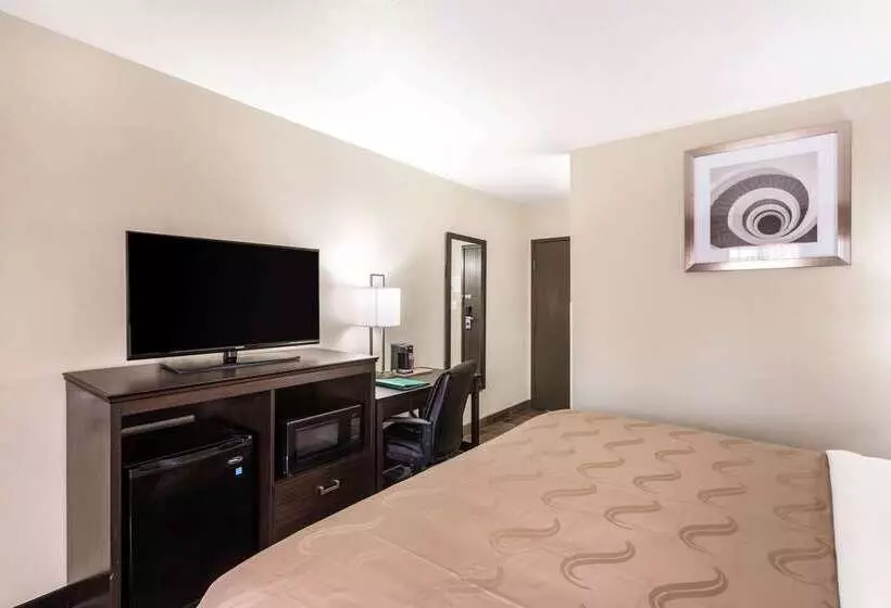 ホテル Quality Inn Downtown