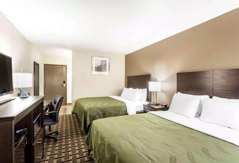 ホテル Quality Inn Downtown