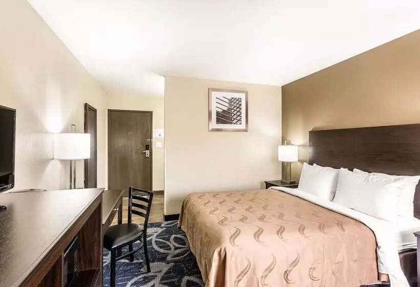 ホテル Quality Inn Downtown