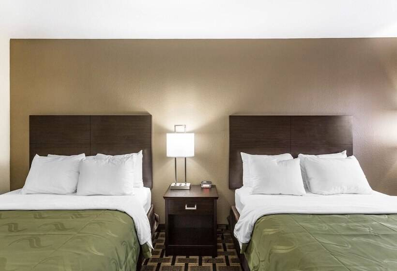 فندق Quality Inn Downtown