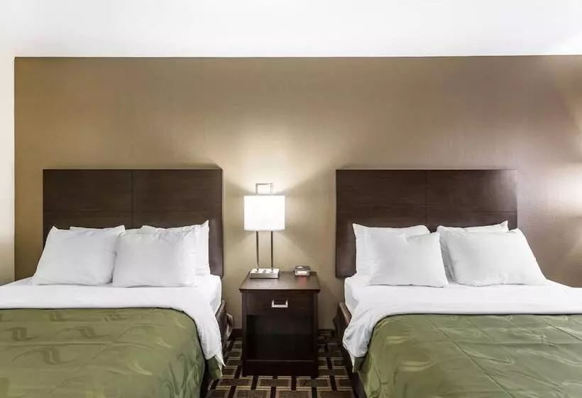 ホテル Quality Inn Downtown