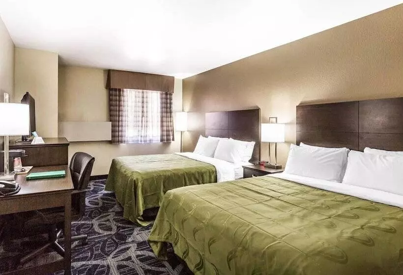 ホテル Quality Inn Downtown