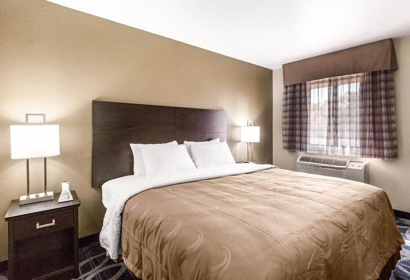 فندق Quality Inn Downtown