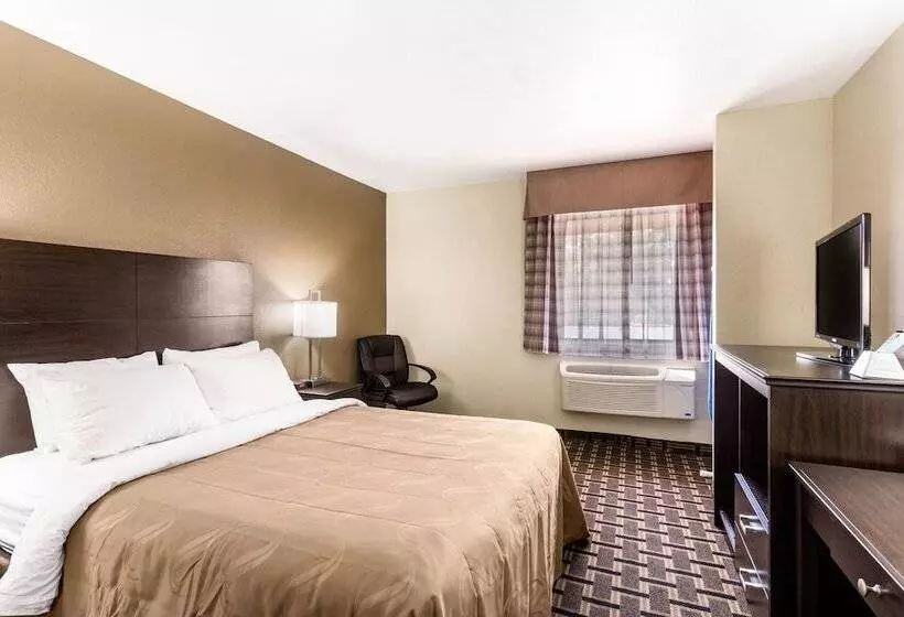 ホテル Quality Inn Downtown