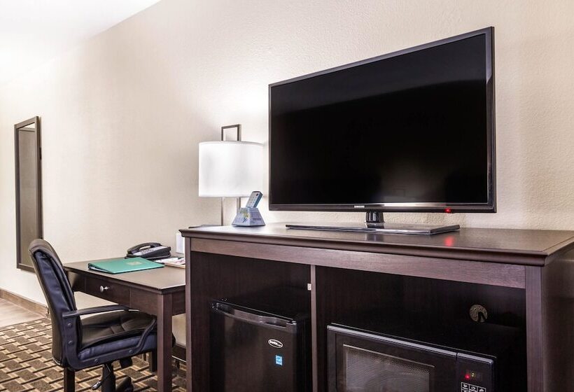 فندق Quality Inn Downtown