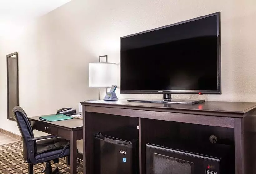 ホテル Quality Inn Downtown