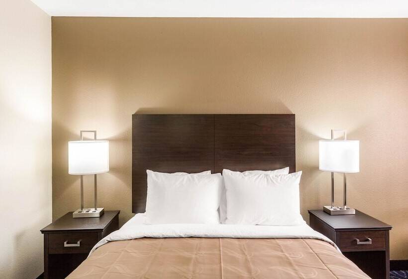 فندق Quality Inn Downtown