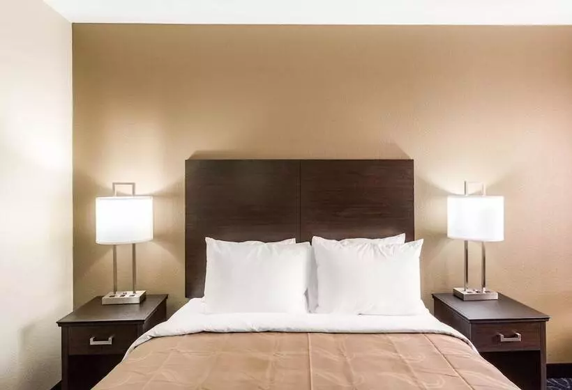 ホテル Quality Inn Downtown