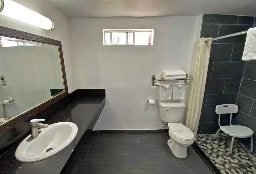 ホテル Rodeway Inn