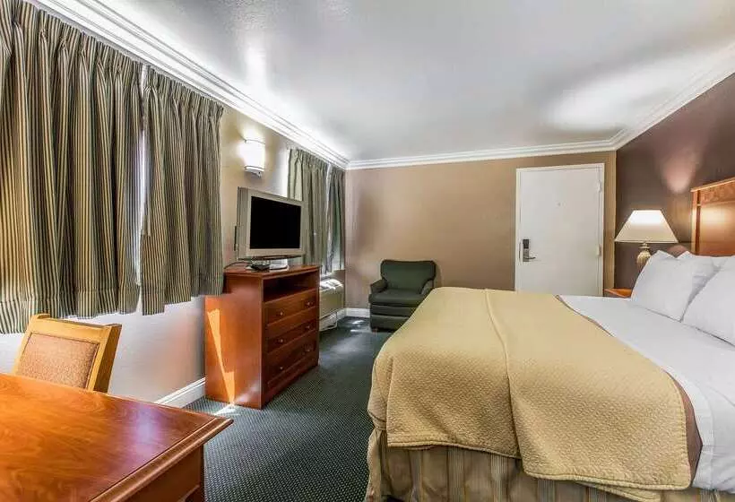 ホテル Rodeway Inn