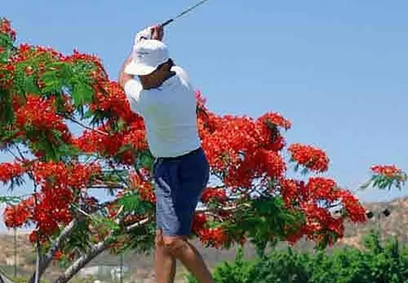 Raintree's Cimarron Golf Resort Palm Springs