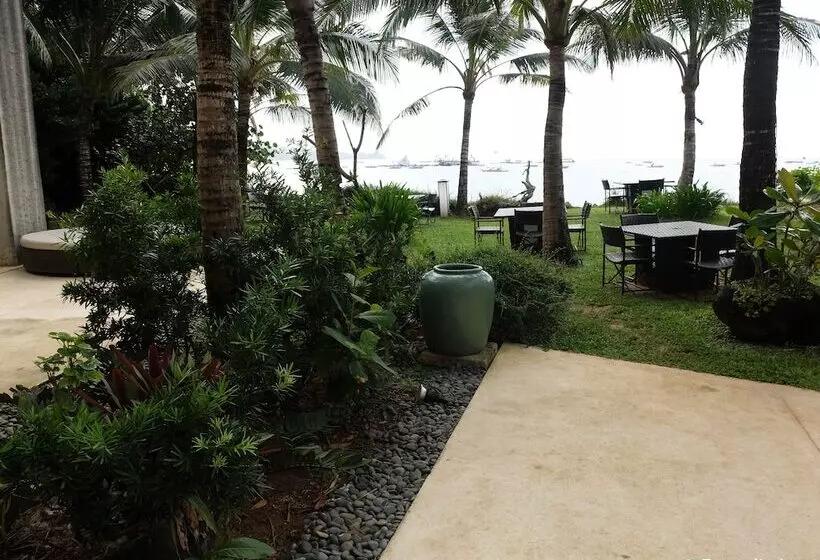 ホテル Asya Premier Suites