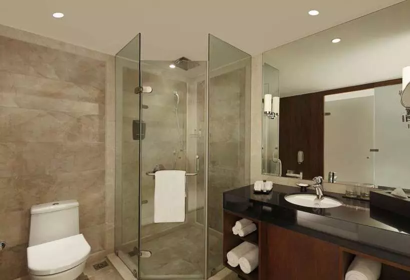 فندق Doubletree By Hilton Punechinchwad