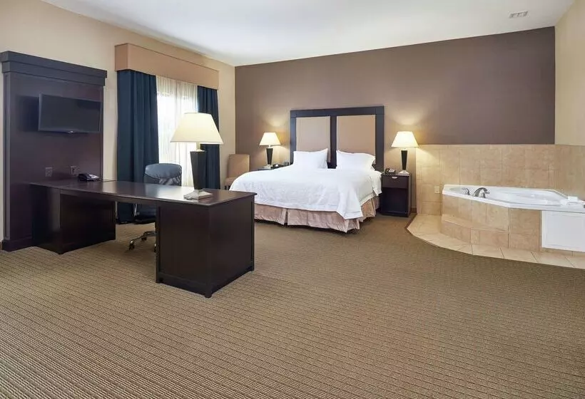 Hotelli Hampton Inn & Suites Decatur
