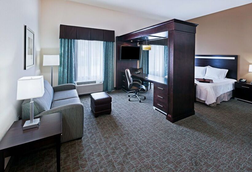 ホテル Hampton Inn & Suites Liberal