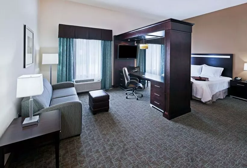 酒店 Hampton Inn & Suites Liberal