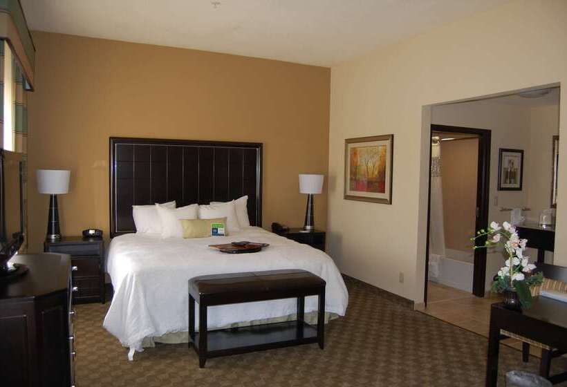 ホテル Hampton Inn & Suites Mcalester