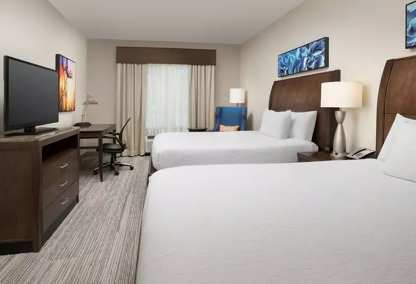 Hotel Hilton Garden Inn Charlotte Airport