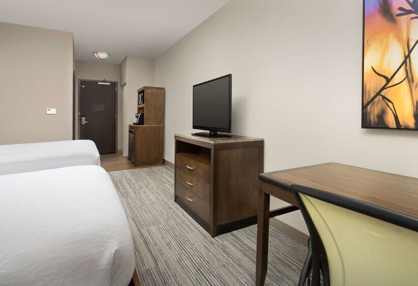 酒店 Hilton Garden Inn Charlotte Airport