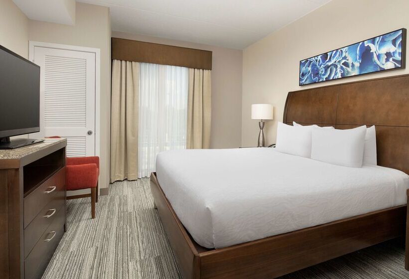 酒店 Hilton Garden Inn Charlotte Airport