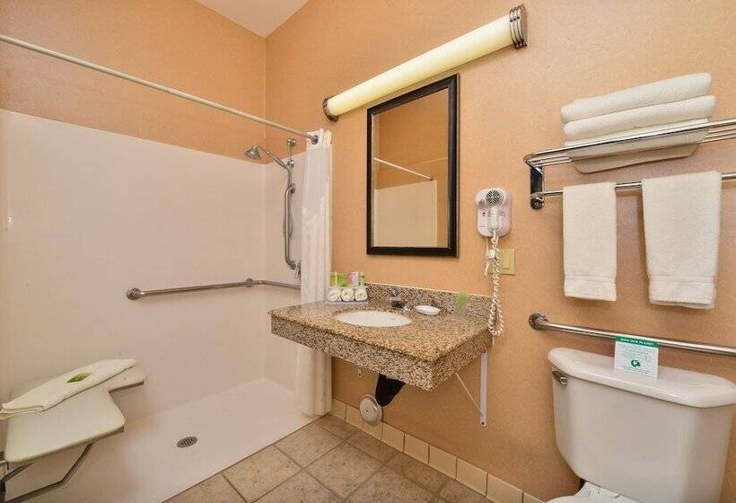 酒店 Holiday Inn Express Vancouver North, An Ihg