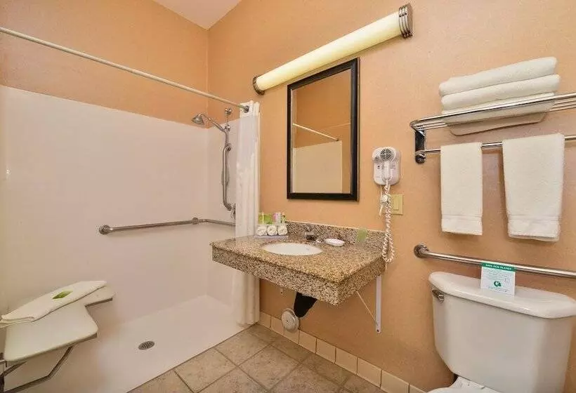 Отель Holiday Inn Express Vancouver North, An Ihg