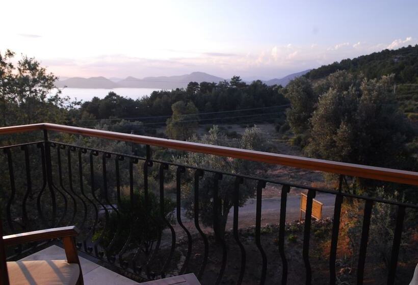 Отель Mandarin & Mango Boutique