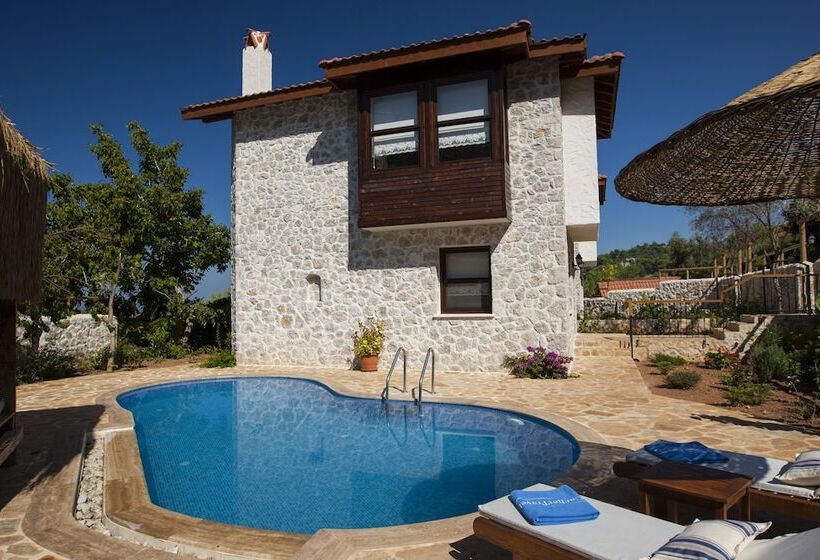 Отель Mandarin & Mango Boutique