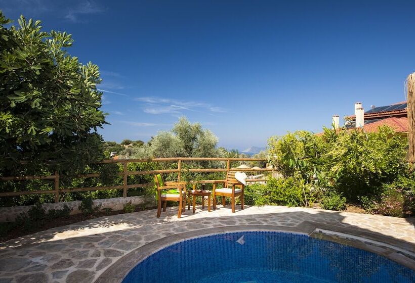 Отель Mandarin & Mango Boutique