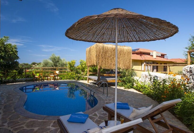 Отель Mandarin & Mango Boutique