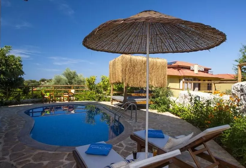 酒店 Mandarin & Mango Boutique