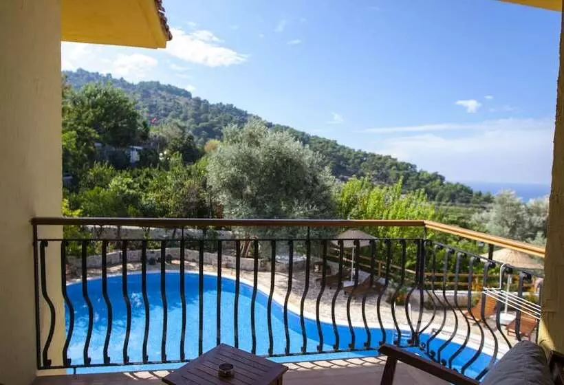 酒店 Mandarin & Mango Boutique