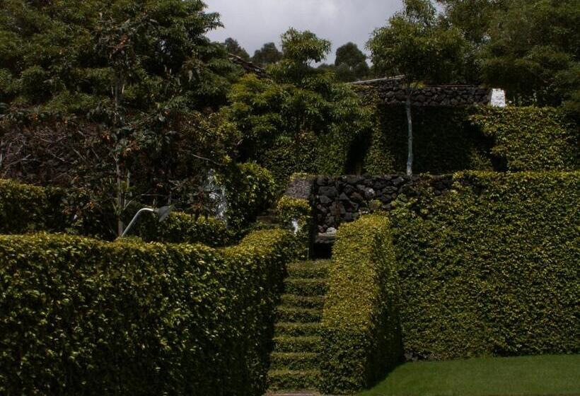 בית מלון כפרי Quinta Do Martelo